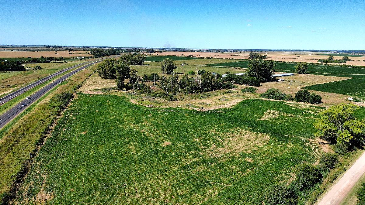 Vendo Campo 24 Has en Ruta 14 Concepción del Uruguay Entre R