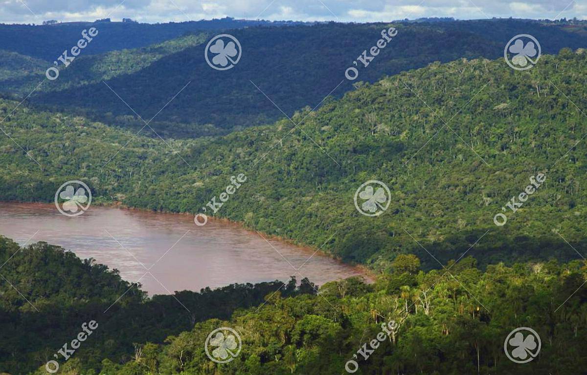 Campo en Venta 84.000 Has Bosque Nativo Misiones