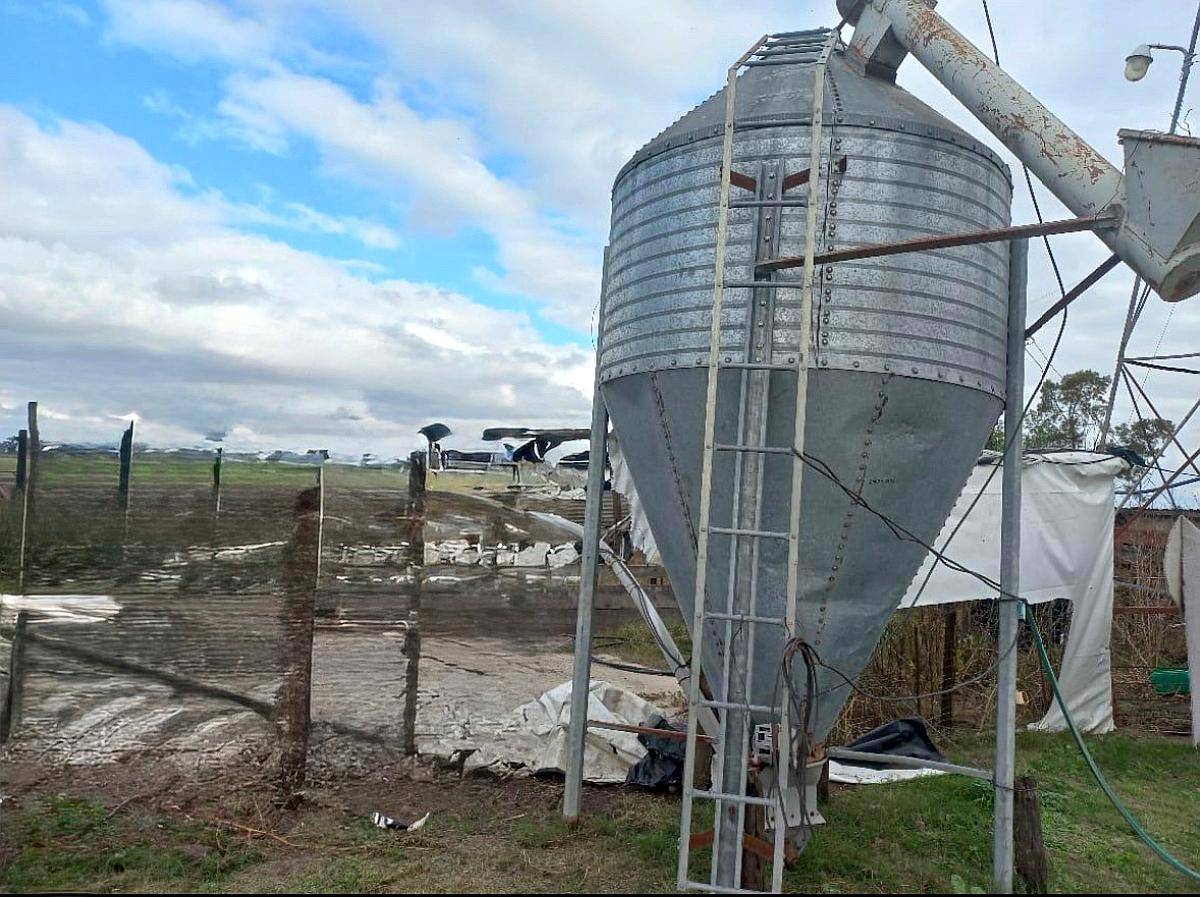 Silo Metálico de 2.500 Kg