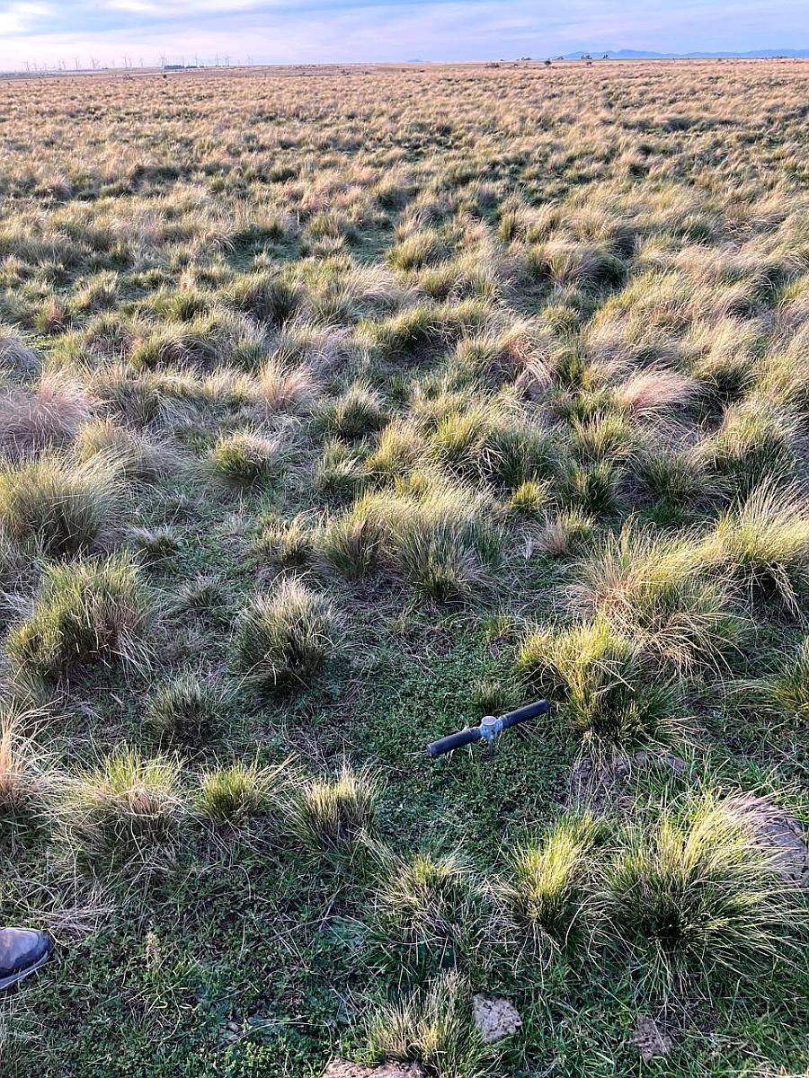 285 Hectareas Bahia Blanca