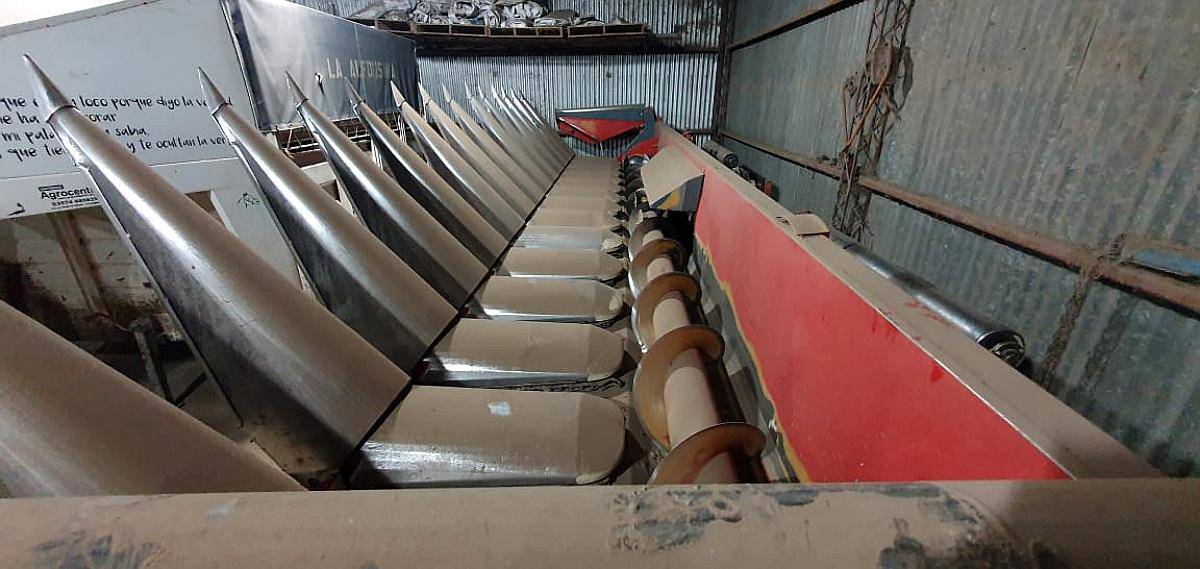 Maicero Mainero 14 a 52 año 2009