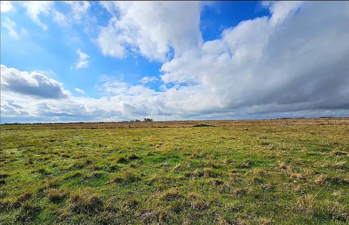 Campo Mixto Venta Chascomus 110 Hectareas