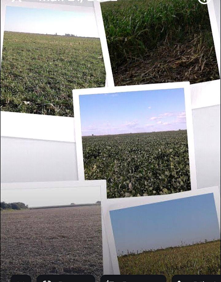 50 Has Rio Primero Córdoba