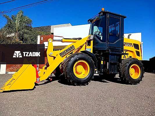 Pala Cargadora Michigan R45 IV Plus