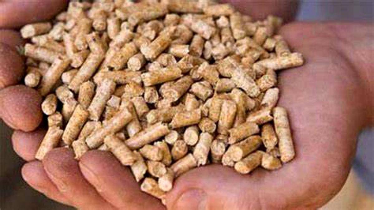 Pellet de Cascara Soja 12 % de Proteína