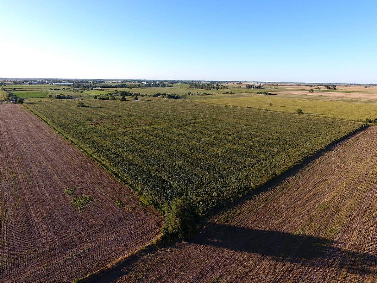 Venta Campo Agrícola. 16 HA. Recreo, Santa FE.