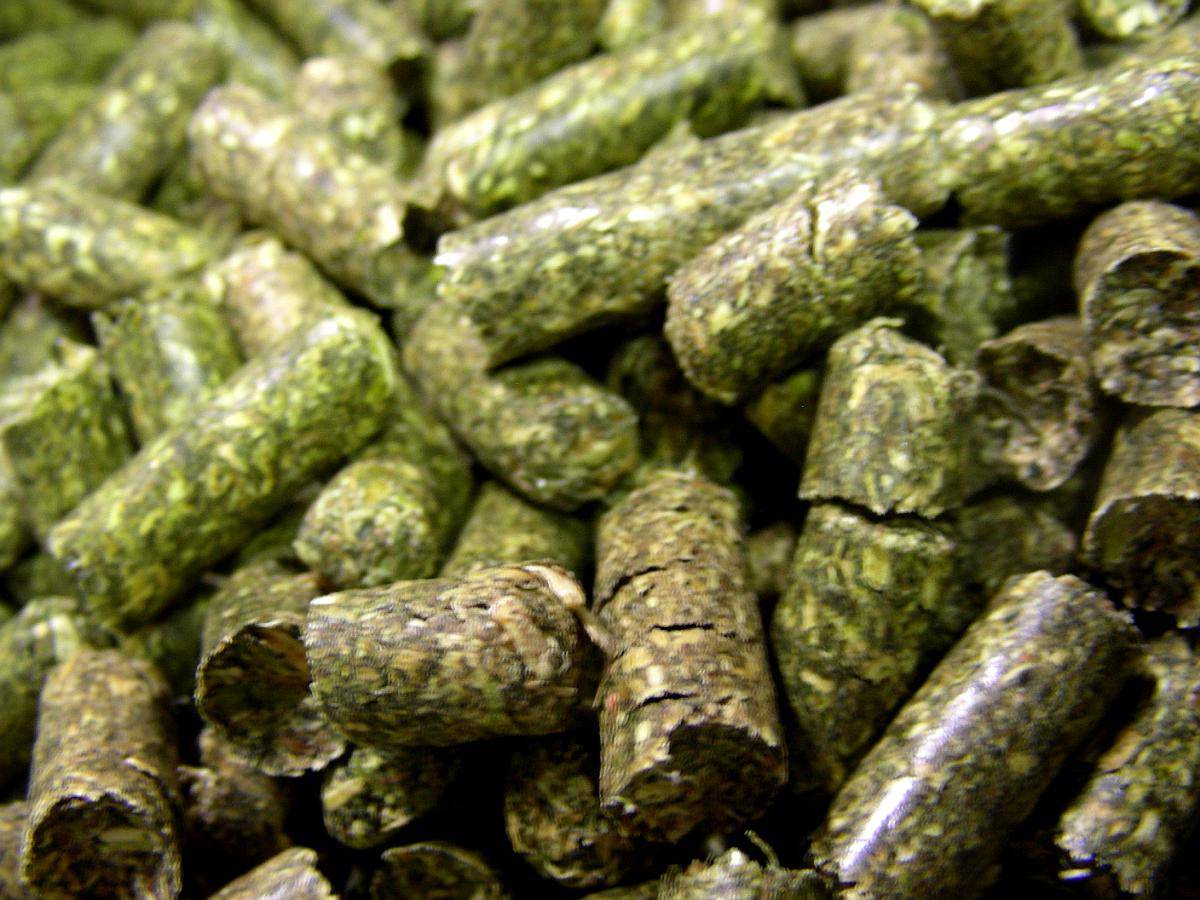 Pellet de Alfalfa - Lasna Insumos