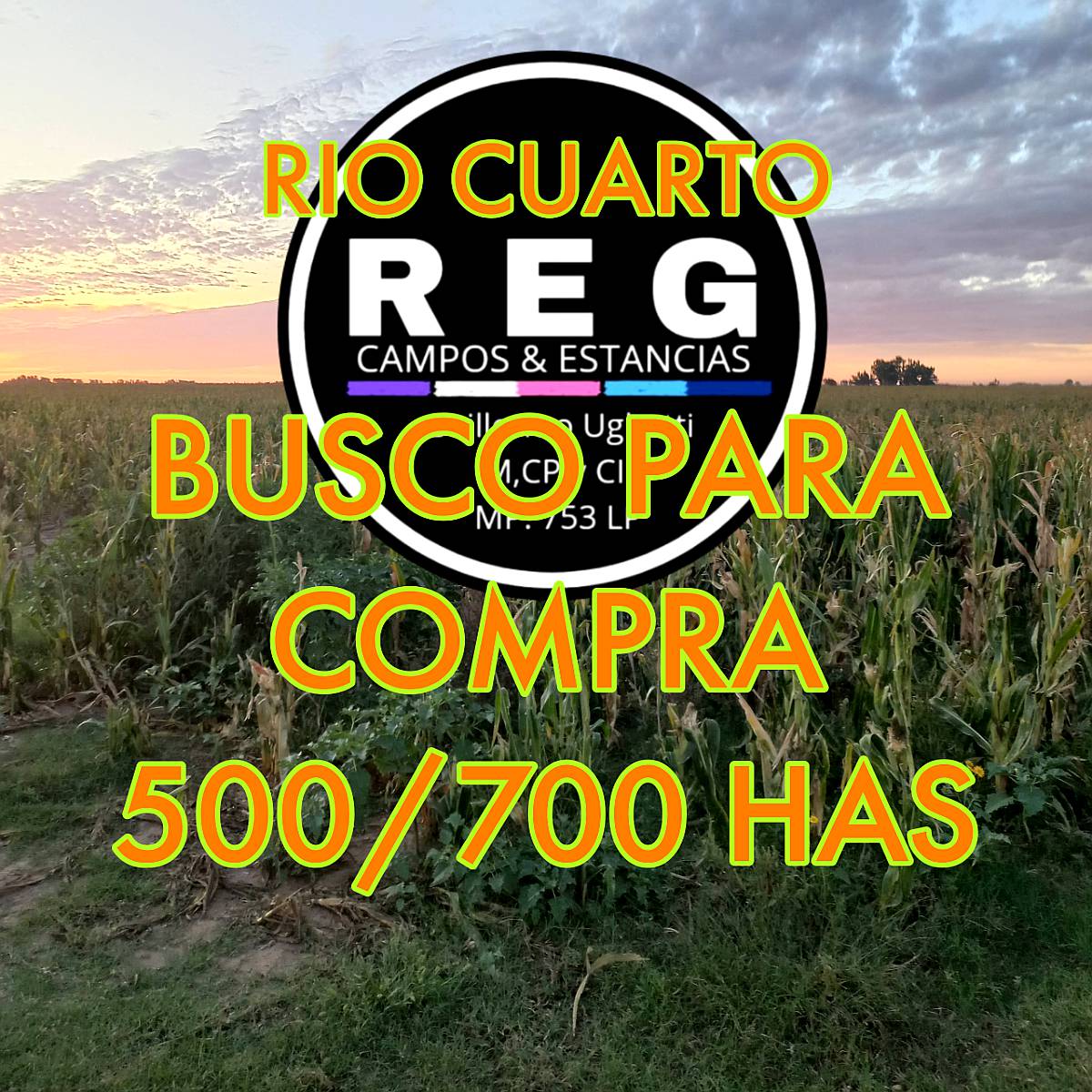 Busco Campo para Compra