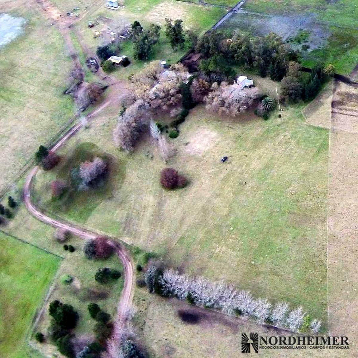 25 de Mayo, Buenos Aires - 300 Ha