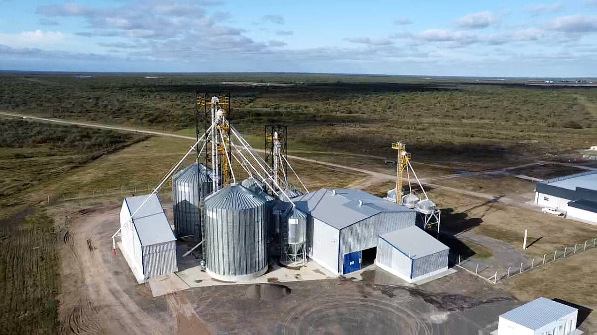 Plantas de Alimentos Balanceados, Extrusion, Acopios, Silos