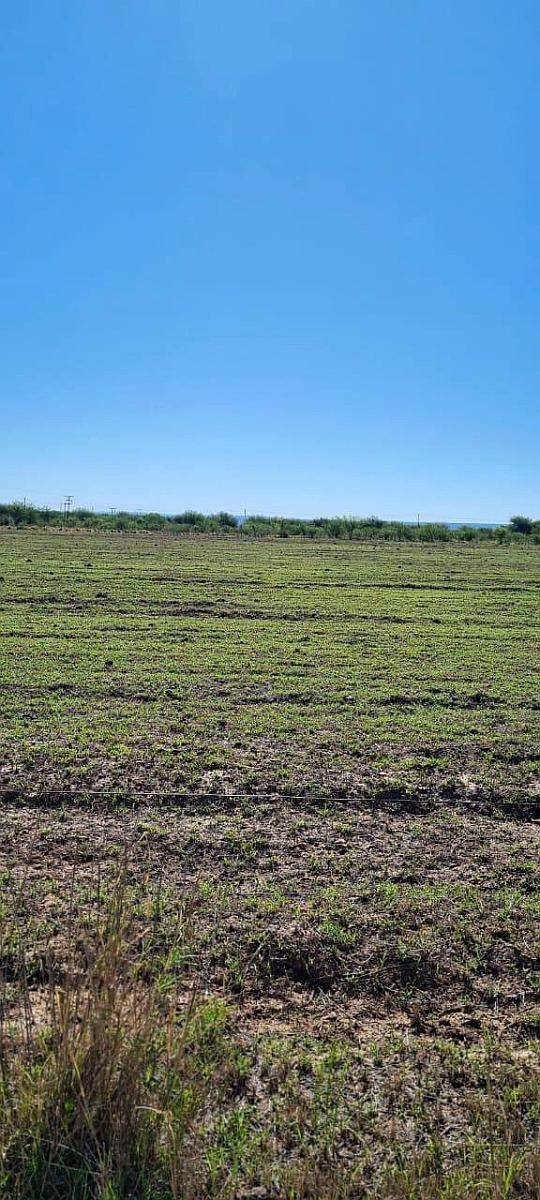 Campo en San Luis 27 Hectáreas - Concarán
