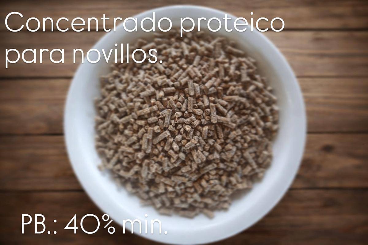 Concentrado Proteico 10% para Engorde Terminacion Novillos