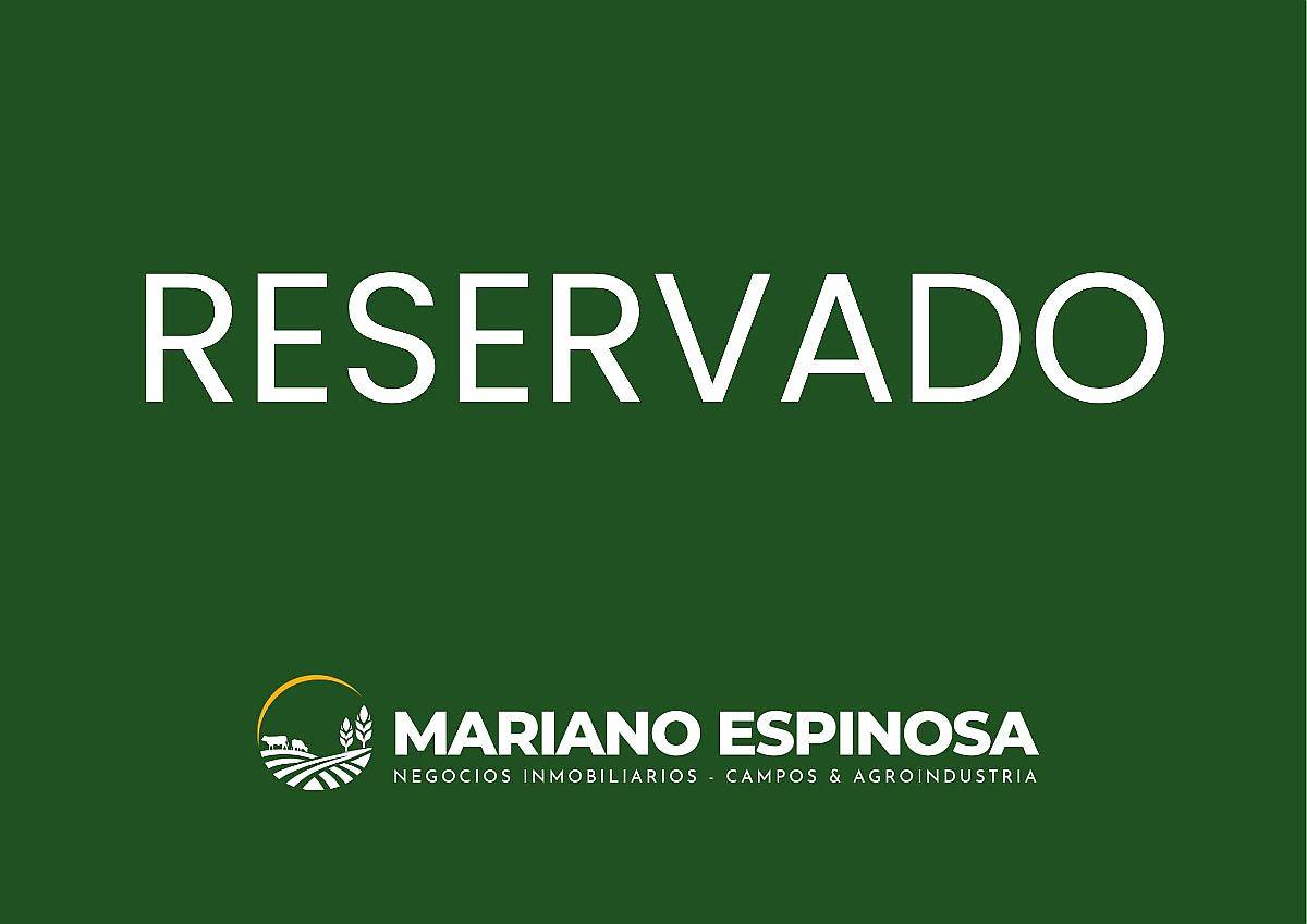 Paraje Oliden - 220 Ha - Buenos Aires Reservado