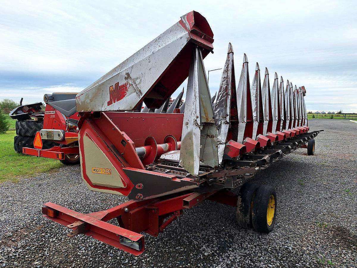 Maicero - Maizco de 12 a 52,5 cm - año 2012 (emb Vassalli)