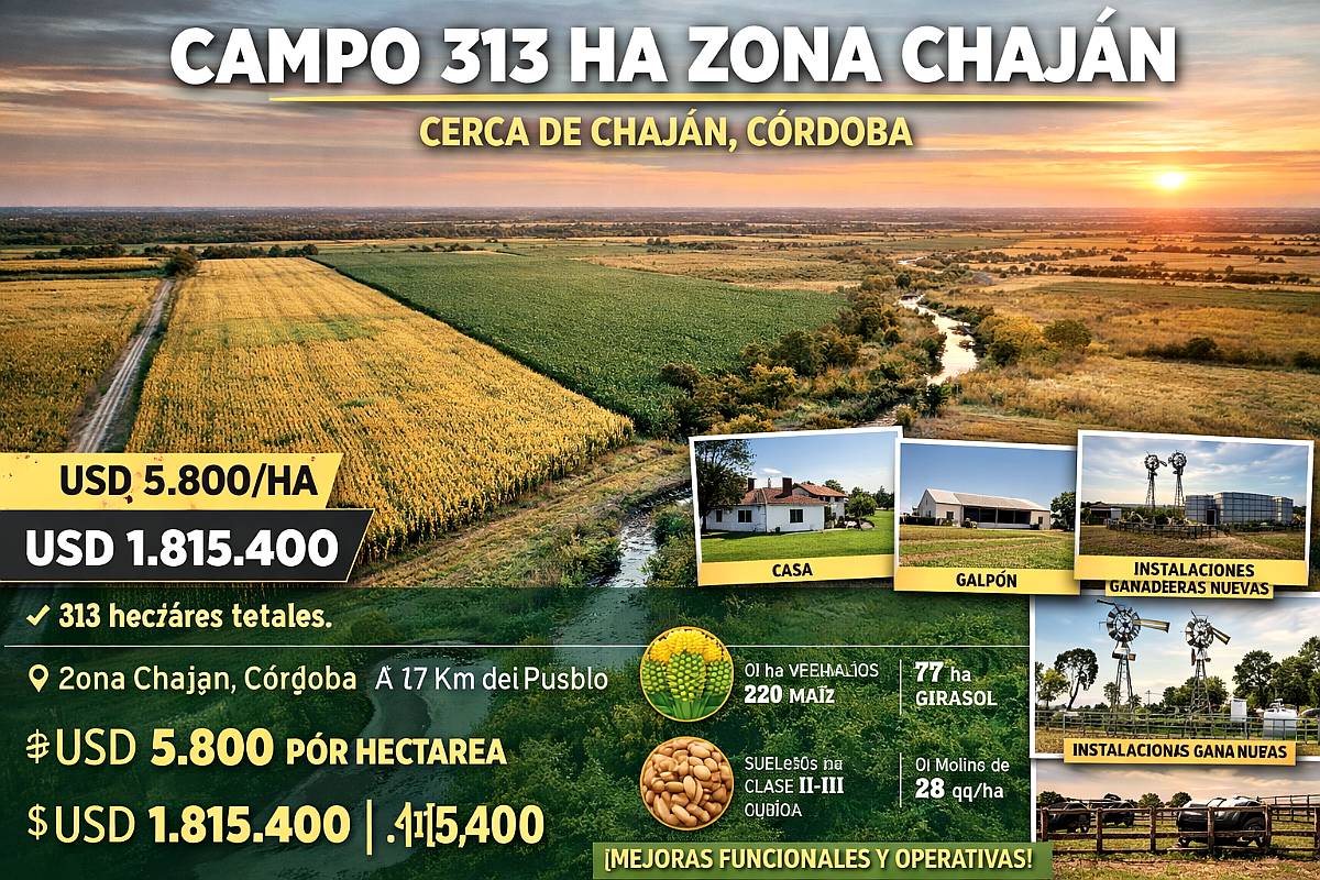 Campo en Venta – Zona Chaján 313 Hectáreas