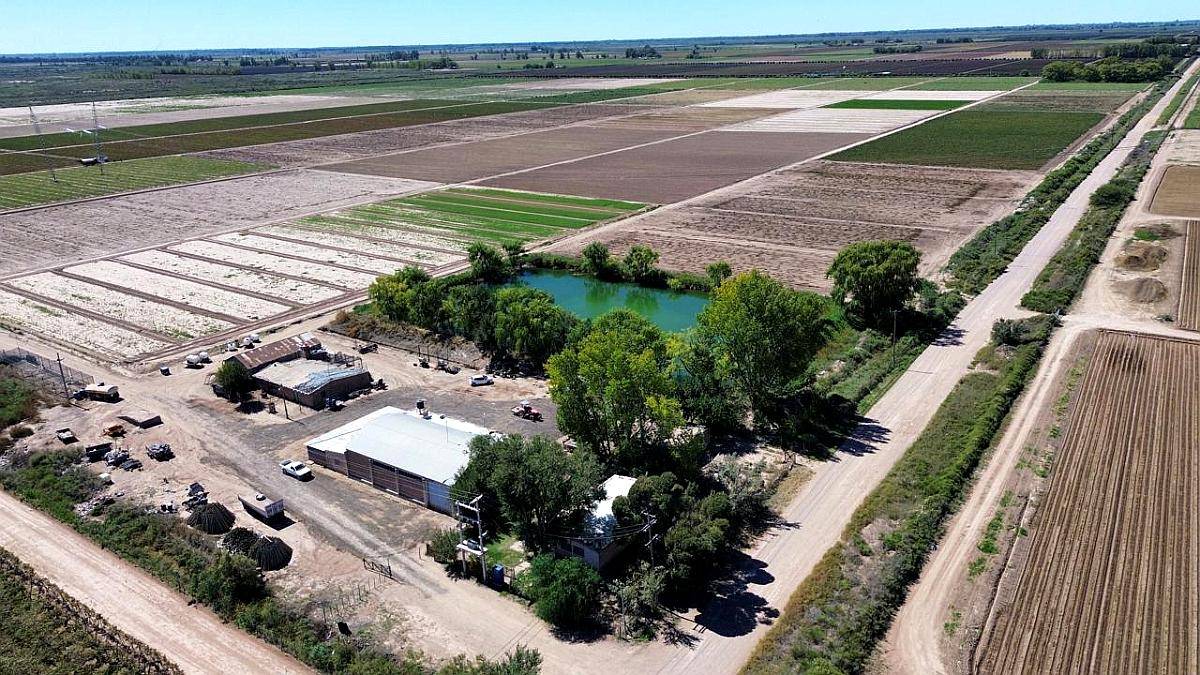 100 Ha los Alamos Beltran 3 Pozos