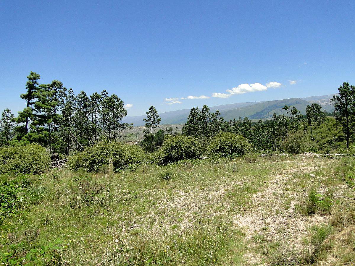 La Cumbrecita Chacras Sobre Asfalto