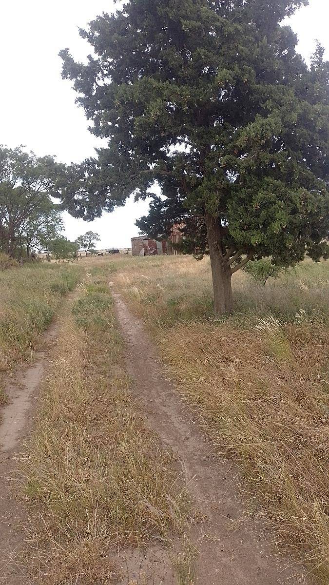 151 Ha Mixto Abramo la Pampa