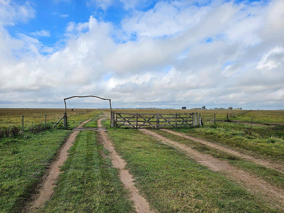 Campo Agricola Ganadero 600 Ha las Flores