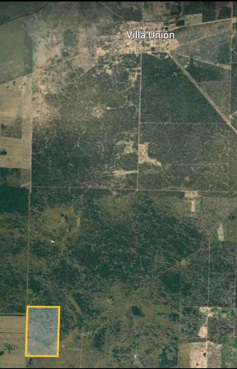 Campo Villa Unión 100 Hectáreas