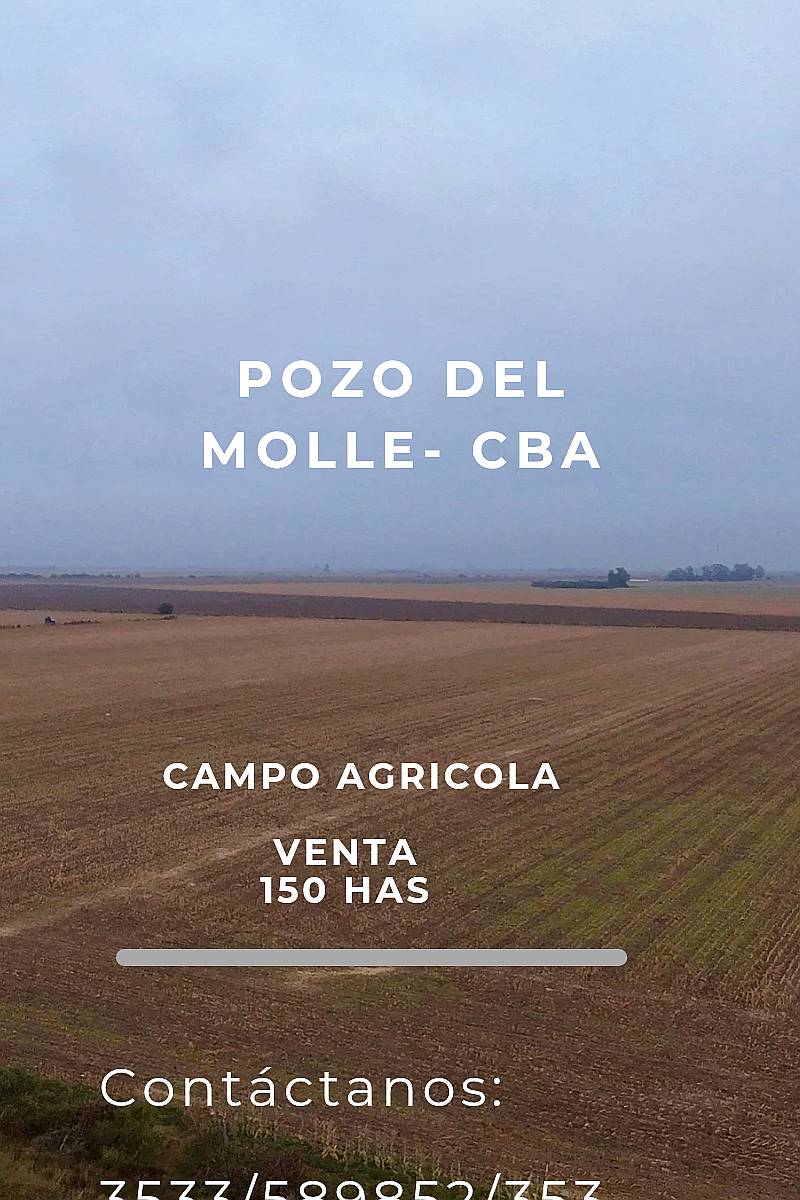 Se Vende Campo Agricola - Pozo del Molle