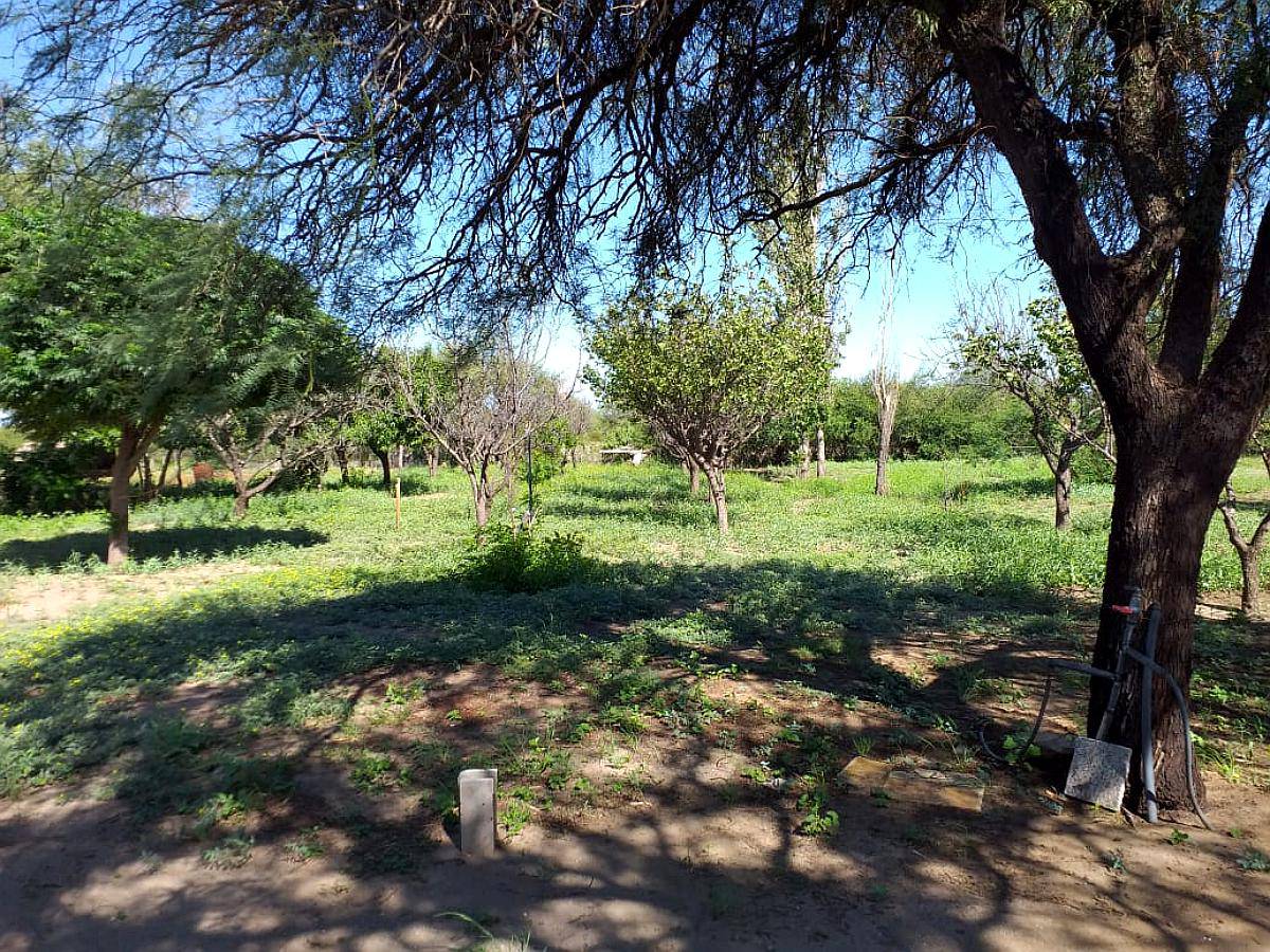 Dueño Vende Campo 47 Ha en Pozo Cavado S/ Ruta 146