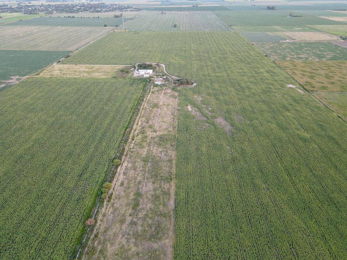 590 Ha - San Genaro (santa FE) - Ganadero