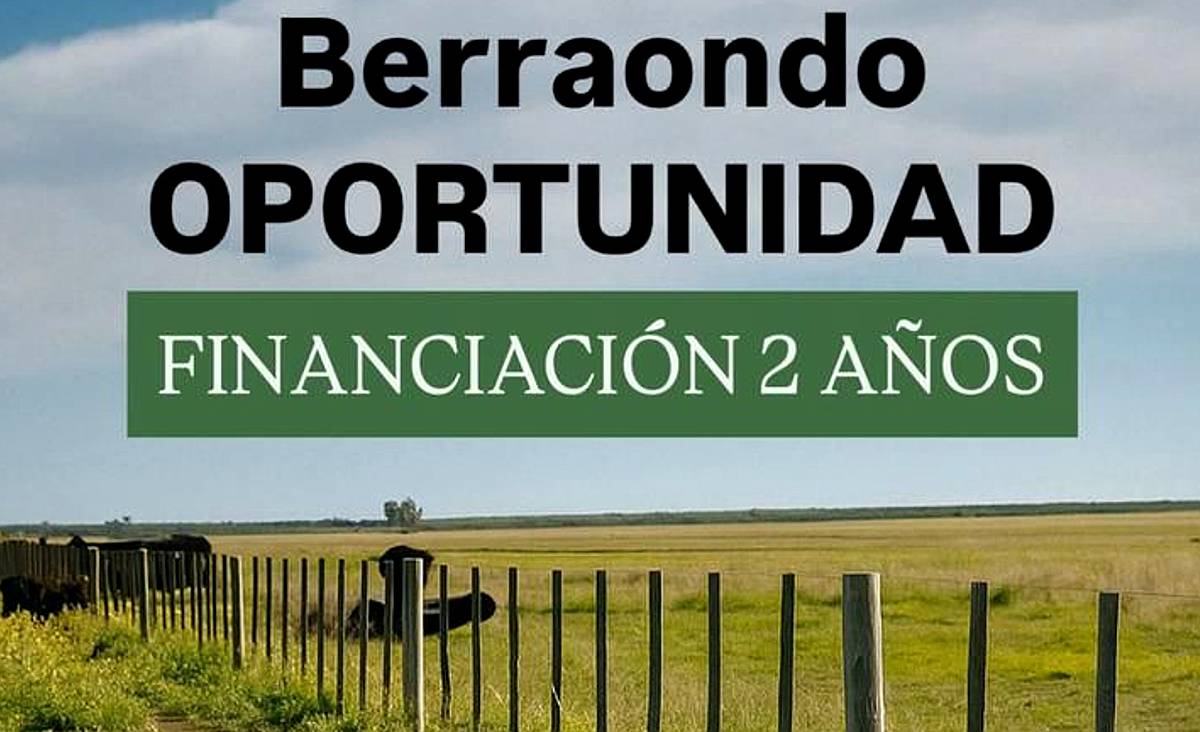 Campo en Venta – 734 Has Berraondo (villarino)