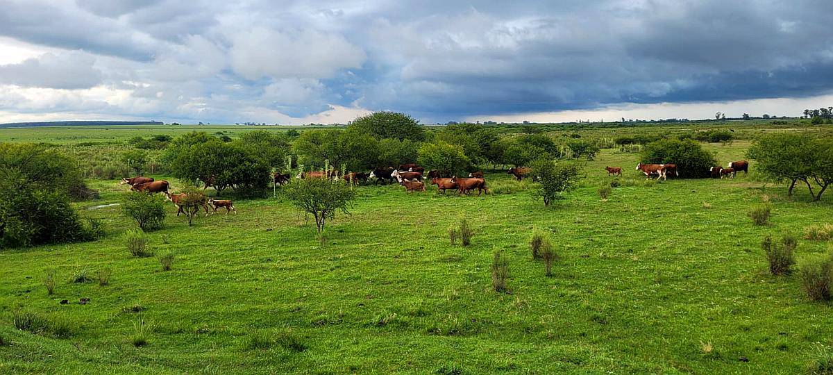 37.5 HA. Cantera. Dto. Colón, Entre Ríos