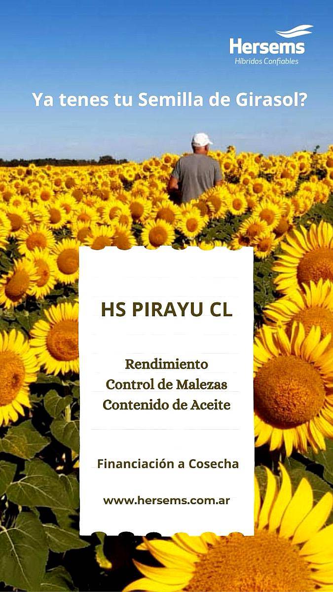 Girasol Hs Pirayu CL