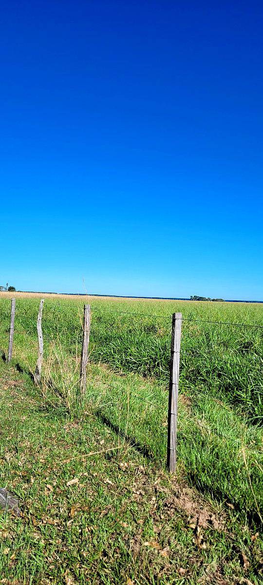 Campo Mixto de 14000 Hectareas Concepción Corrientes
