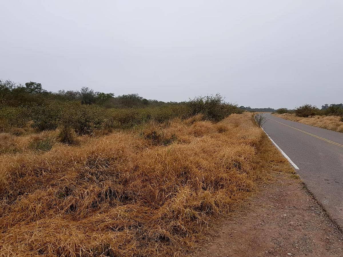 Nueva Esperanza, Pellegrini, Santiago del Estero - 700 Ha