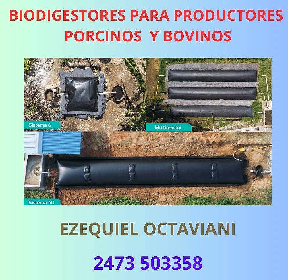 Digestores para Productores Porcinos y Bovinos