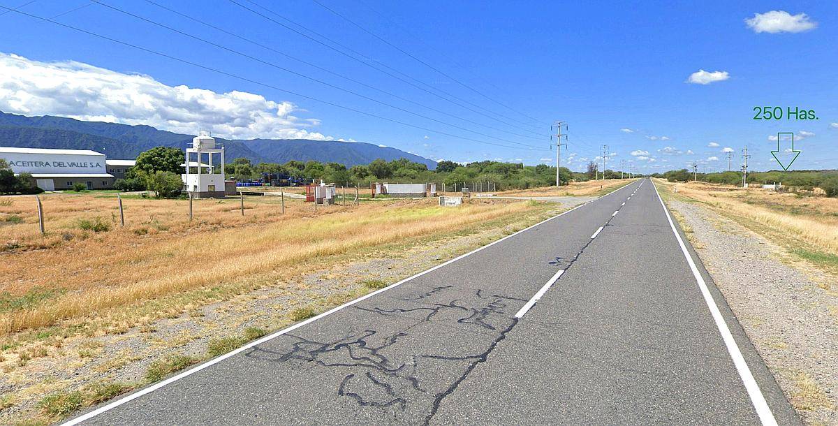 250 HA. Campo en Catamarca con Olivos
