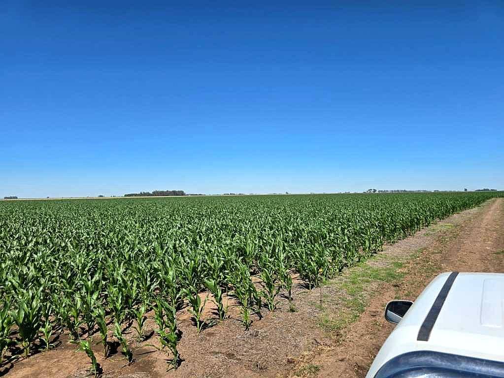 320 Has Mixtas Villegas Cañada Seca