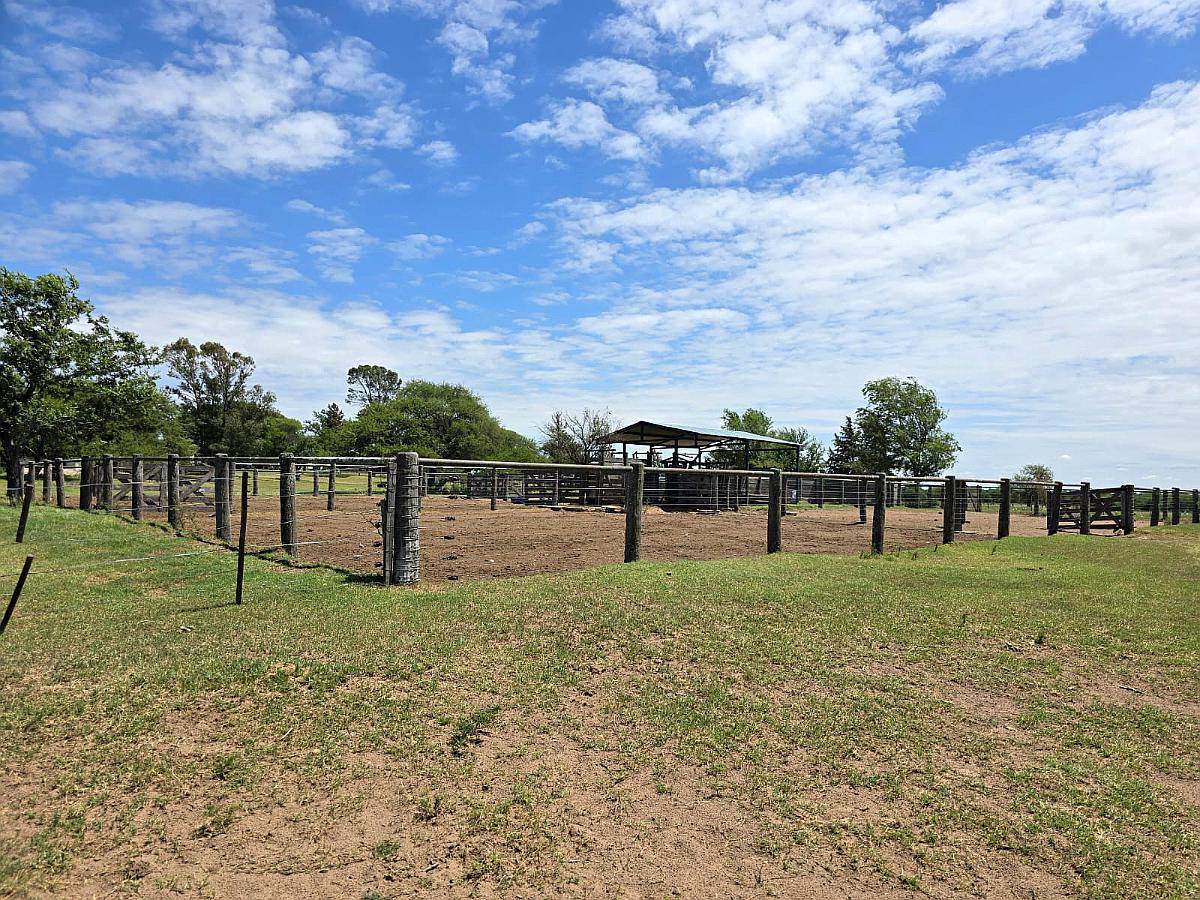 Vendo 500 Ha Mixtas Villa Mercedes