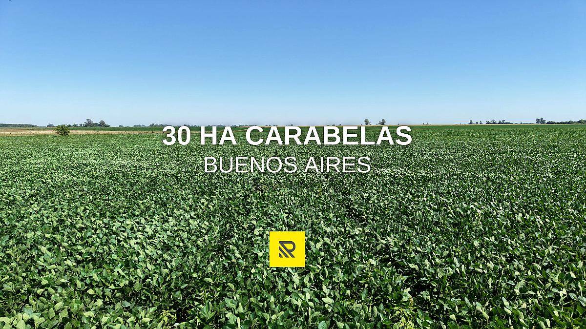 30 Ha Carabelas Agricolas