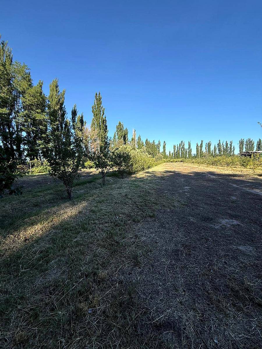 Finca en Venta de 9 Hectáreas / San Rafael - Mendoza