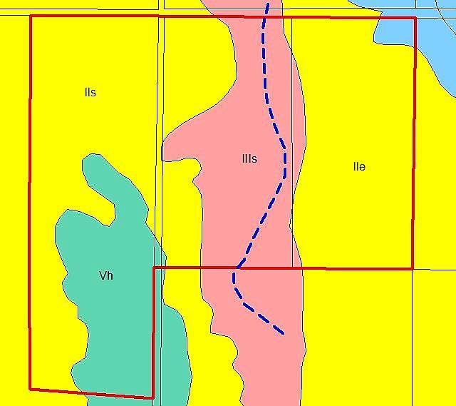 Campo de 175 Hectáreas.