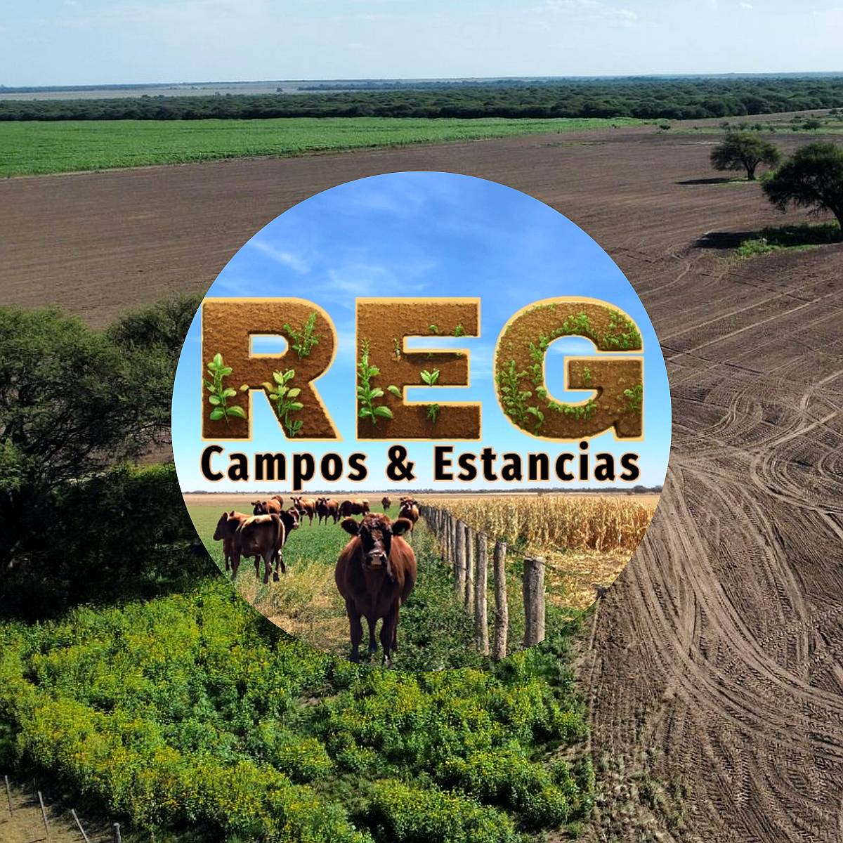 3700 Hectareas, en la Maruja - la Pampa