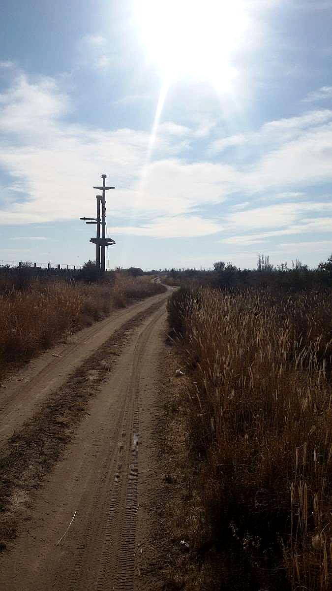 Venta Campo Mendoza , Junin 77.8ha.