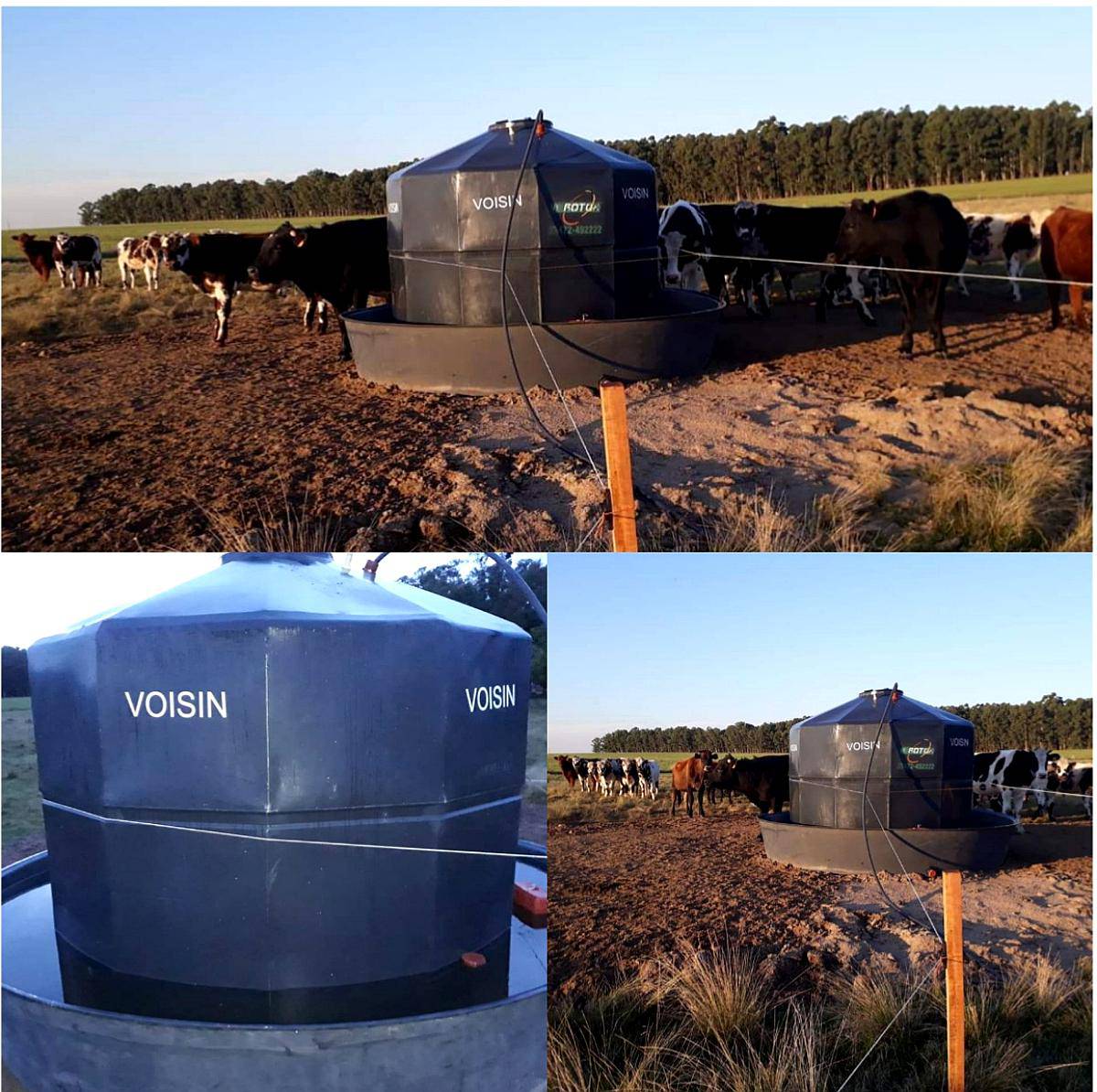 Bebedero Fijo para Ganado