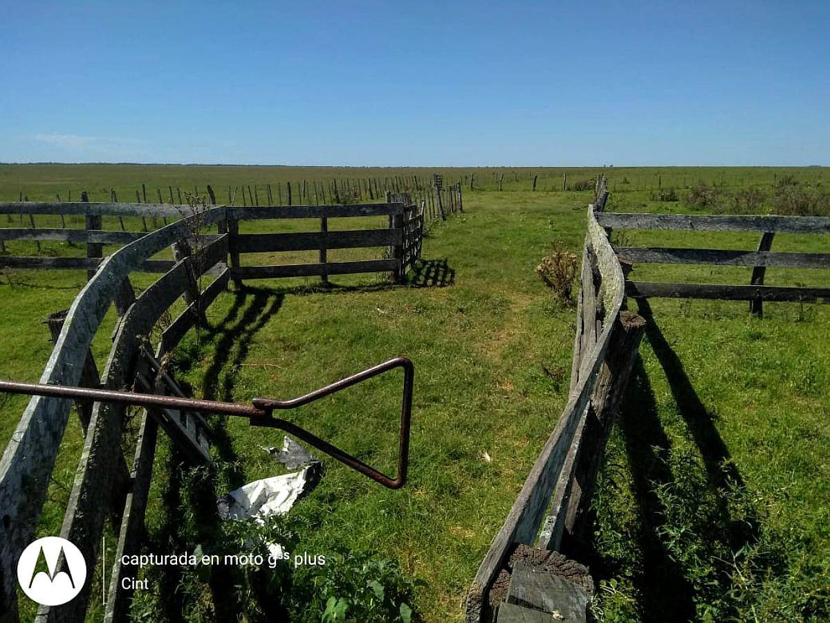 Campo en Arrendamiento en Dolores 424 Ha 4 Potreros
