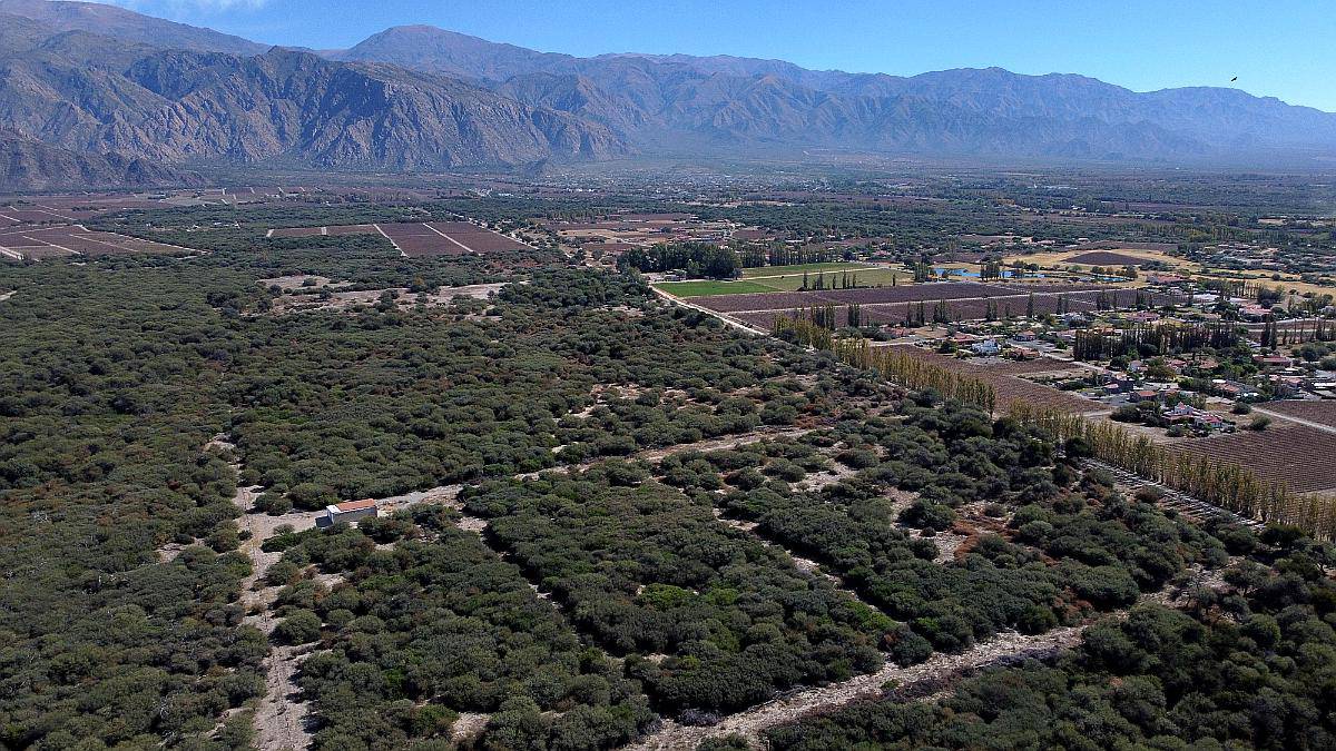 Campo de 77 Has en Venta Junto a Estancias