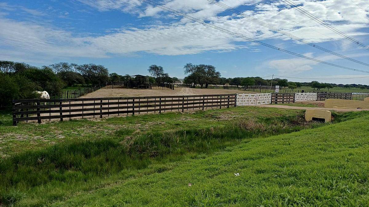 Ceibas, Gualeguaychú, Entre Ríos - 1.000 Ha