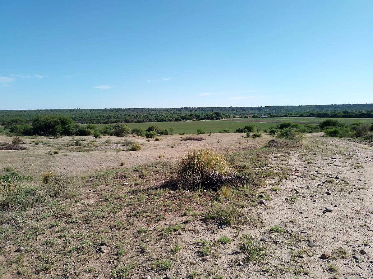 Vende Campo 150 Ha Zona Fraga San Luis