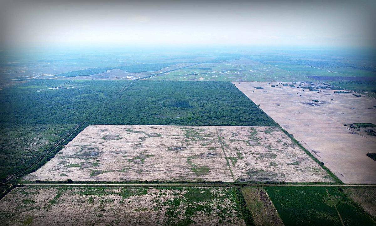 240 Has - Villa Angela, Chaco