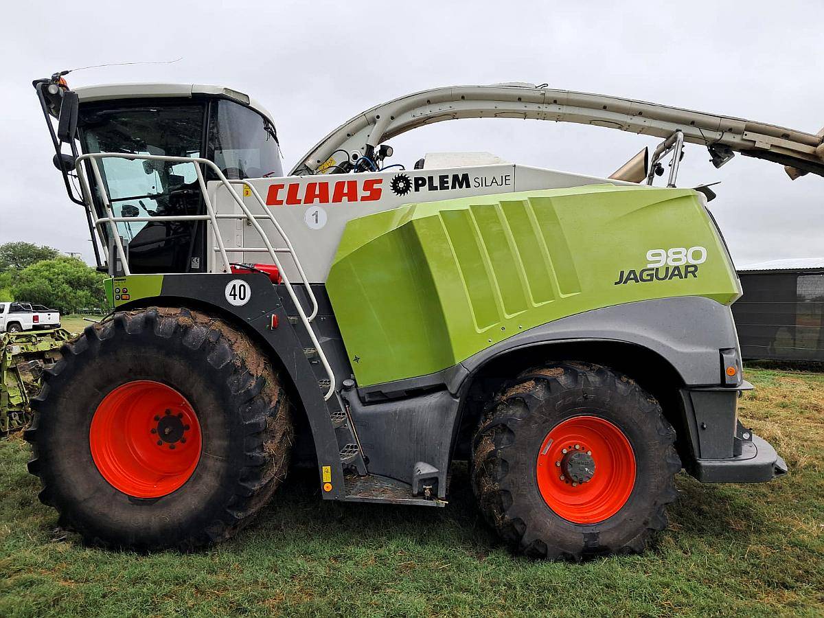 Picadora Claas Jaguar 980