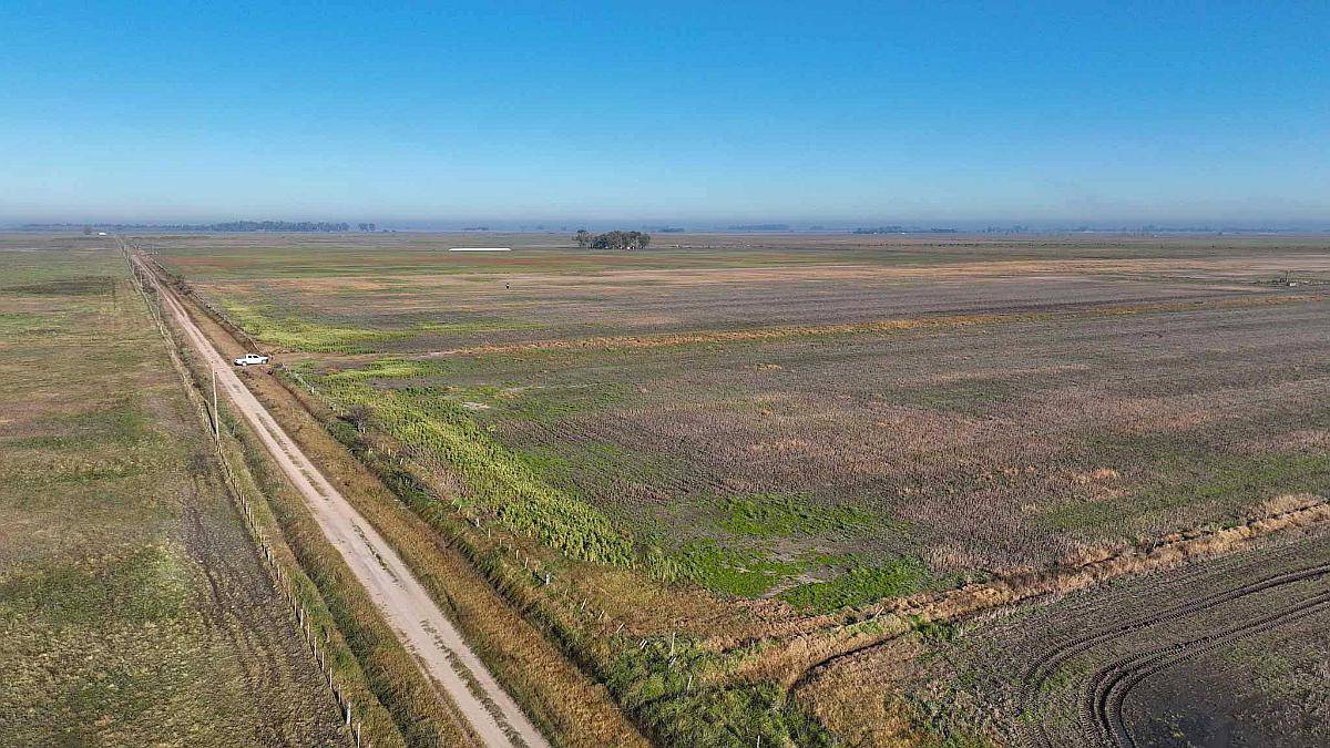 Pcia. de Buenos Aires - Carmen de Areco 66 Has