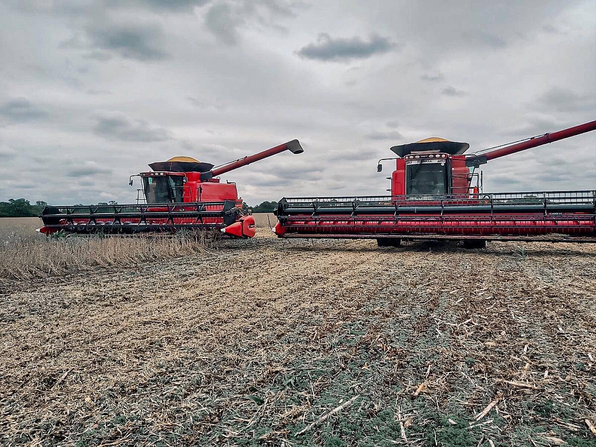 Busco Alquiler de Campo Agricola Agroads